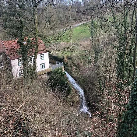 Apartment Waldruhe