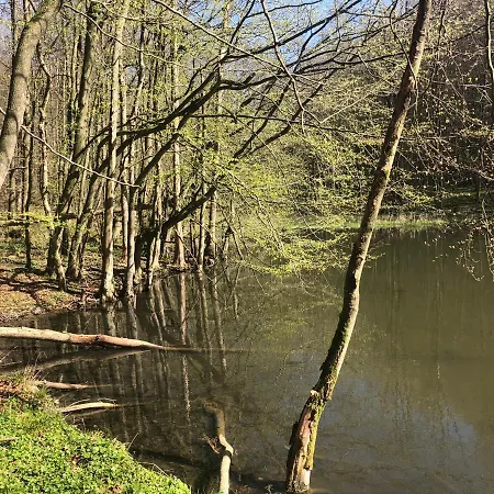 Waldruhe Hessisch Oldendorf